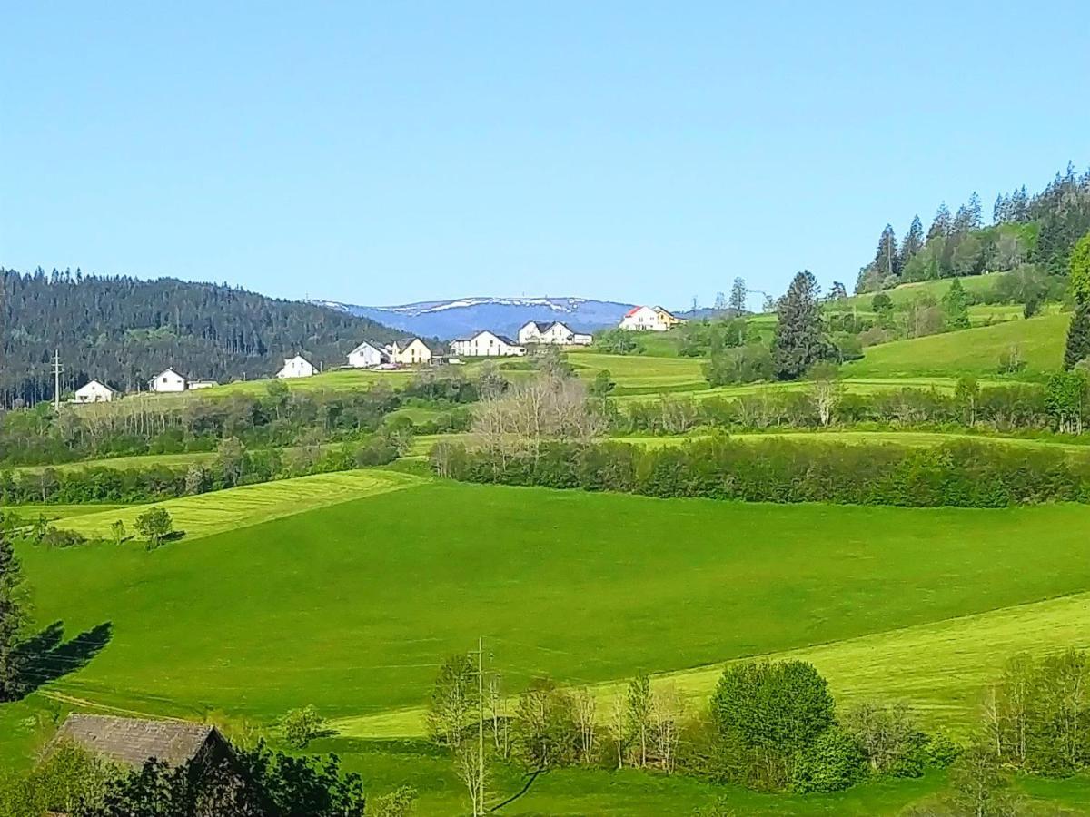 Romantic Style Apartment Titisee-Neustadt Eksteriør billede
